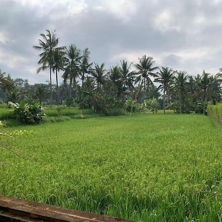 Adi Laxmi Villa Ubud 外观 照片