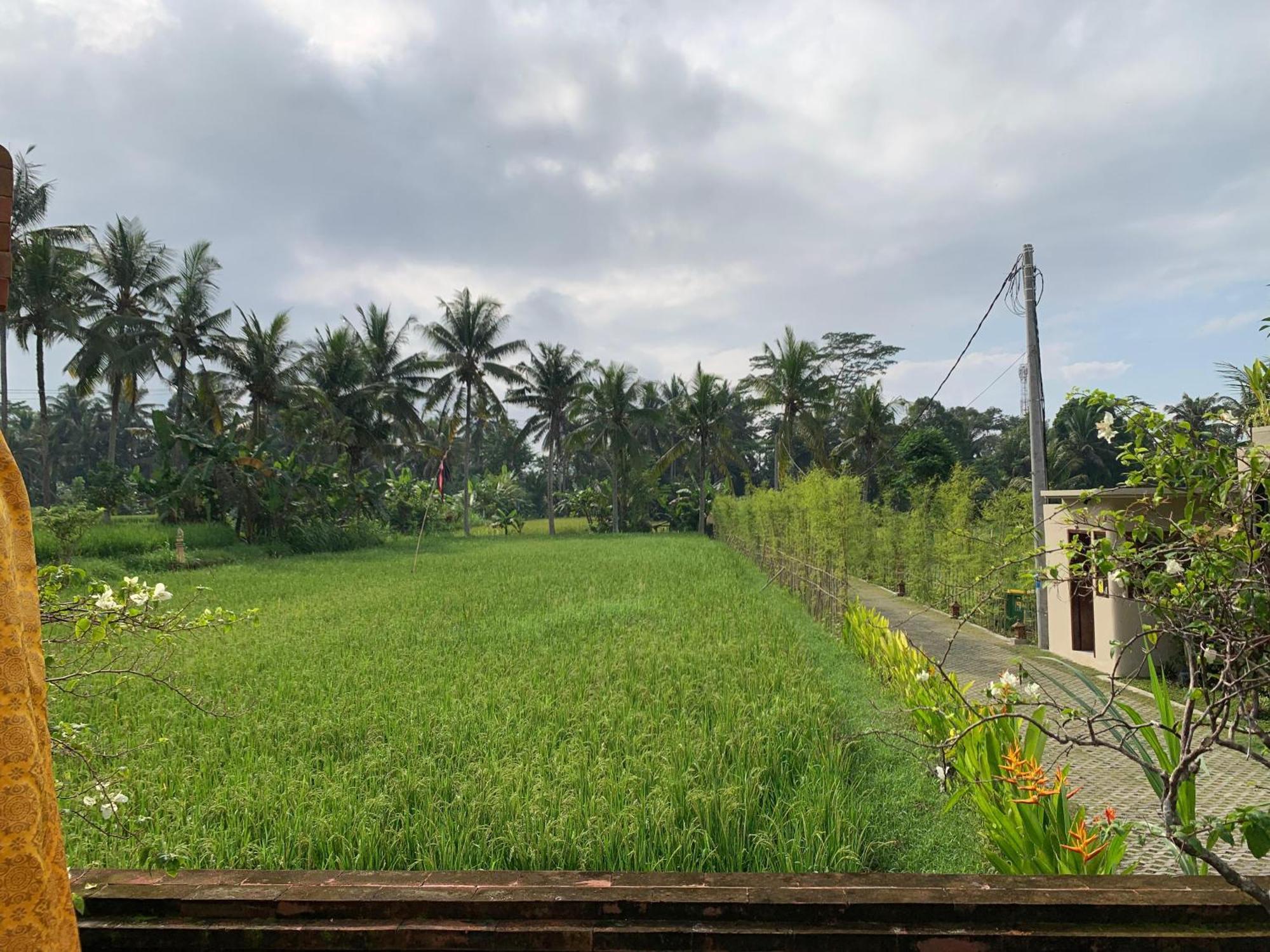 Adi Laxmi Villa Ubud 外观 照片