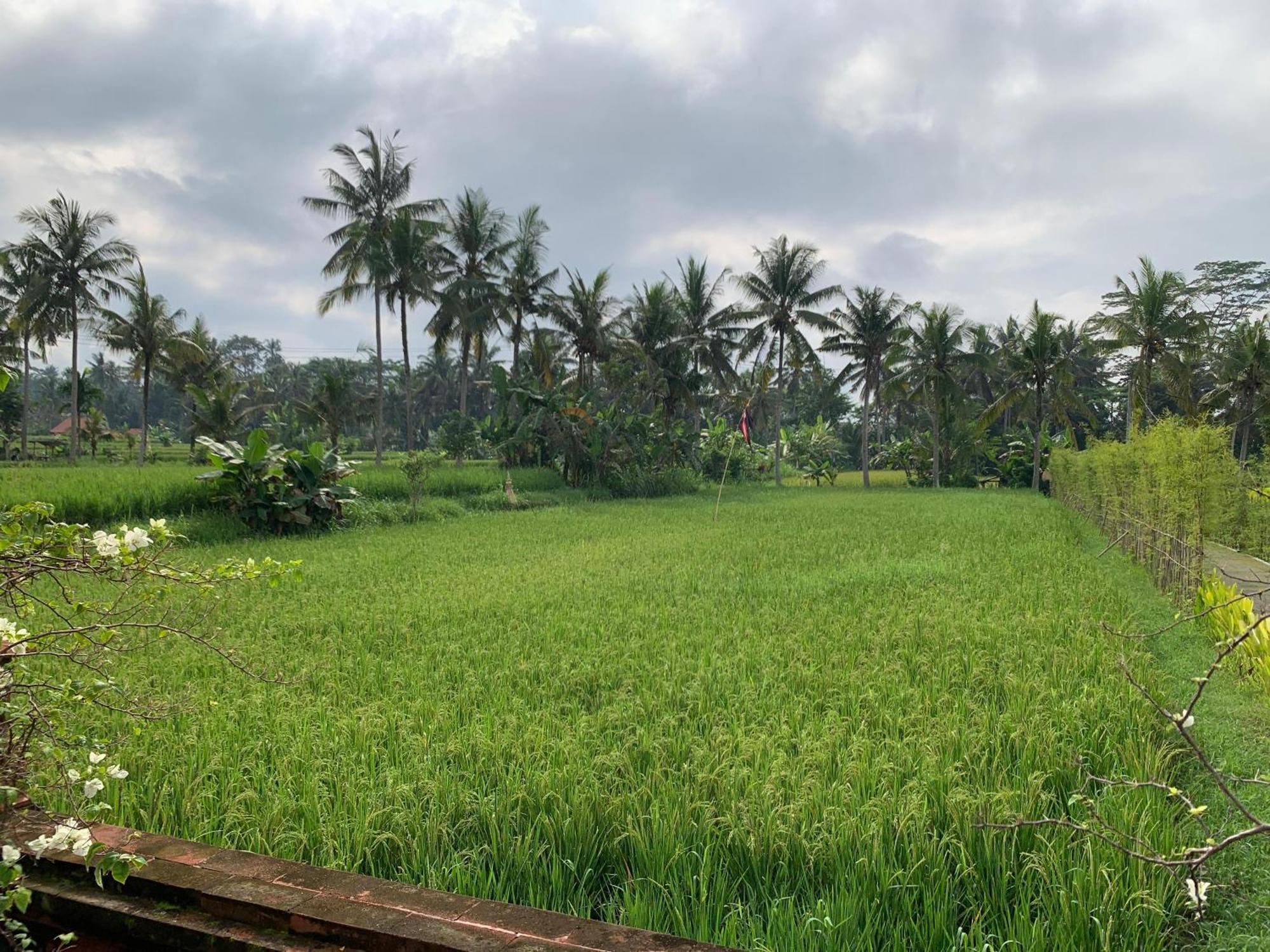 Adi Laxmi Villa Ubud 外观 照片